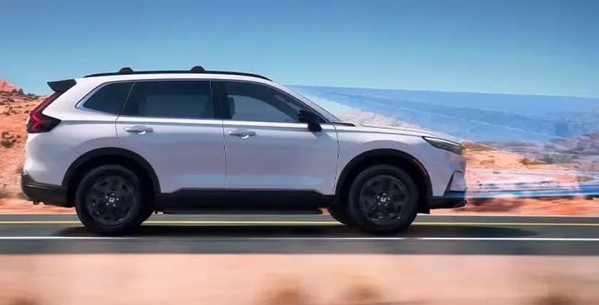 Adaptive Cruise Control with Low-Speed Following: (ACC+ LSF)