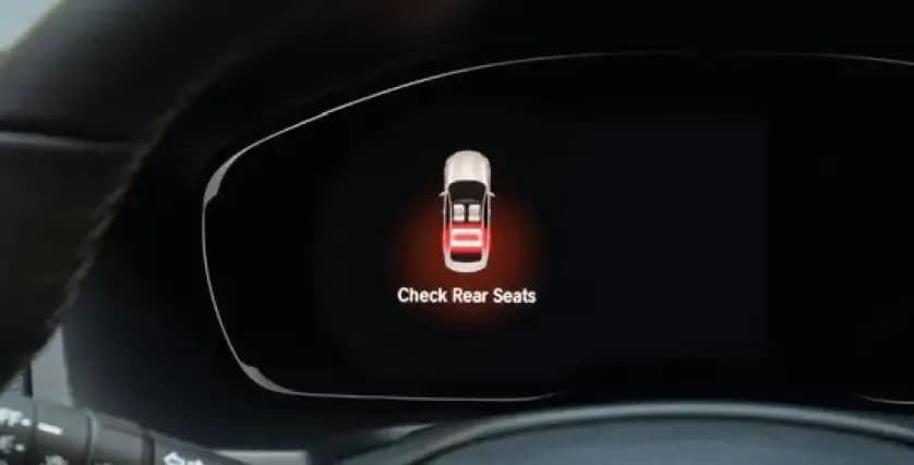 Honda Accord Seatbelt Reminders
